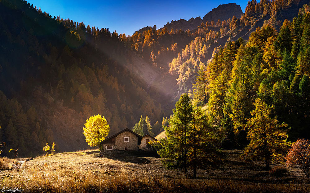 Luce in Valle Stretta, Gabriel Dan